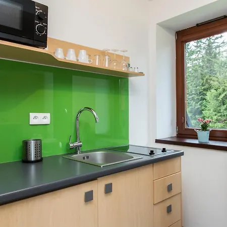 Udanypobyt Przy Dolinach E I F Apartament Kościelisko
