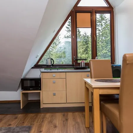 Apartment Udanypobyt Przy Dolinach E I F *