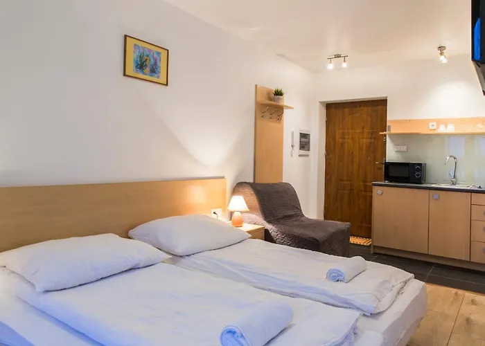 شقة Udanypobyt Przy Dolinach E I F *