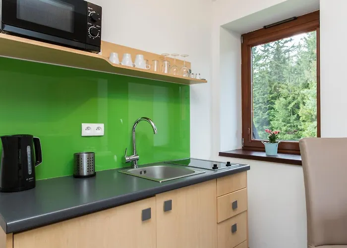 Udanypobyt Przy Dolinach E I F شقة كوشتيليسكا